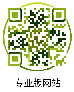 專(zhuān)業(yè)版網(wǎng)站